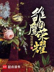 雏鹰的荣耀完结了吗