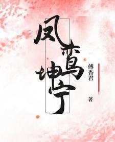 凤鸾坤宁 傅香君