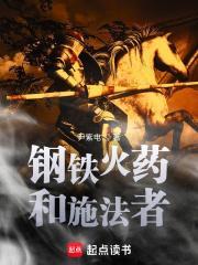 钢铁火药和施法者 百度