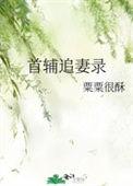 首辅追妻录萧晗