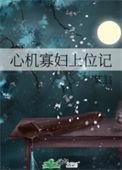 心机寡妇上位记po