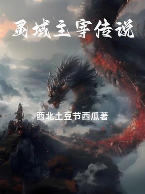 主宰灵域官网