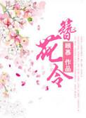 簪花令短剧女主叫什么名字
